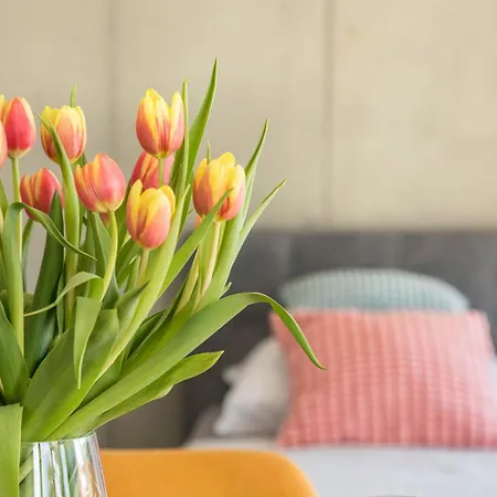 Studio-Apartment Gartenblick Appartamento